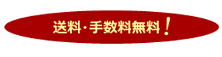 送料・手数料無料